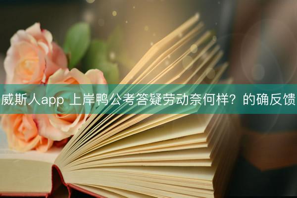 威斯人app 上岸鸭公考答疑劳动奈何样?的确反馈