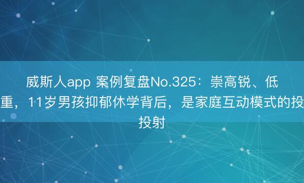 威斯人app 案例复盘No.325:崇高锐、低自重,11岁男孩抑郁休学背后,是家庭互动模式的投射