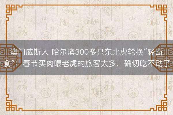 澳门威斯人 哈尔滨300多只东北虎轮换“轻断食”：春节买肉喂老虎的旅客太多，确切吃不动了